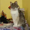Отзыв от Антонина Романова